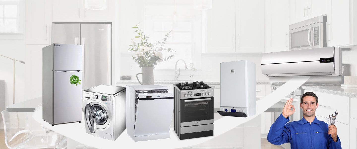 Acıpayam Electrolux Servisi